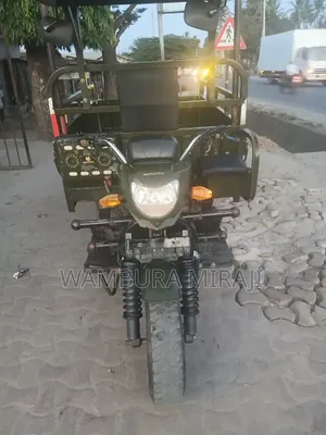 New Bajaj Avenger 200 2024 Green