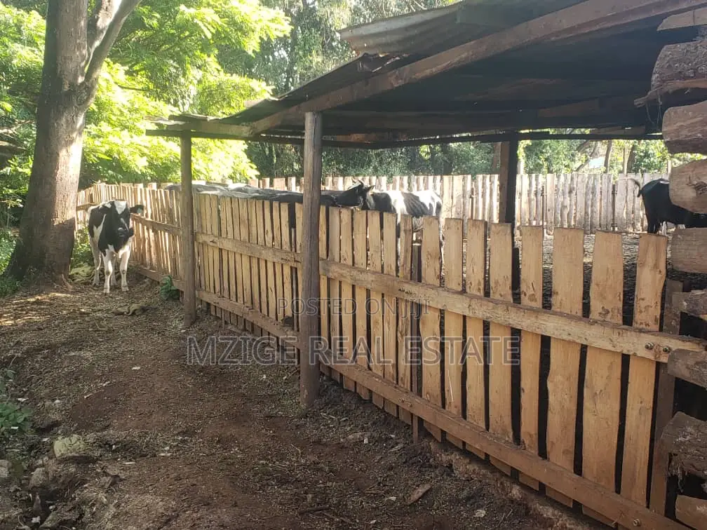 756 Acres Farm Within the Wildlife Corridor 4 Sale in West Kilimanjaro