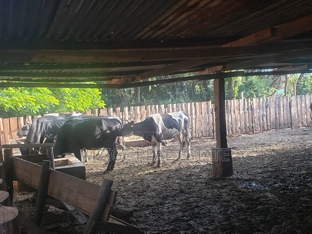 756 Acres Farm Within the Wildlife Corridor 4 Sale in West Kilimanjaro