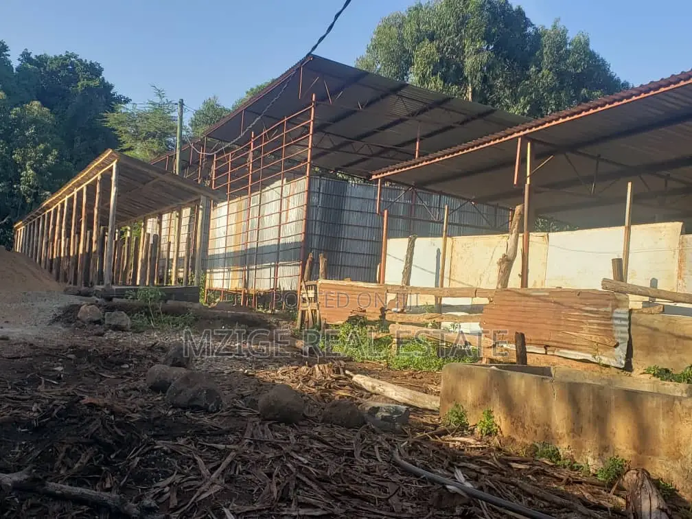 756 Acres Farm Within the Wildlife Corridor 4 Sale in West Kilimanjaro