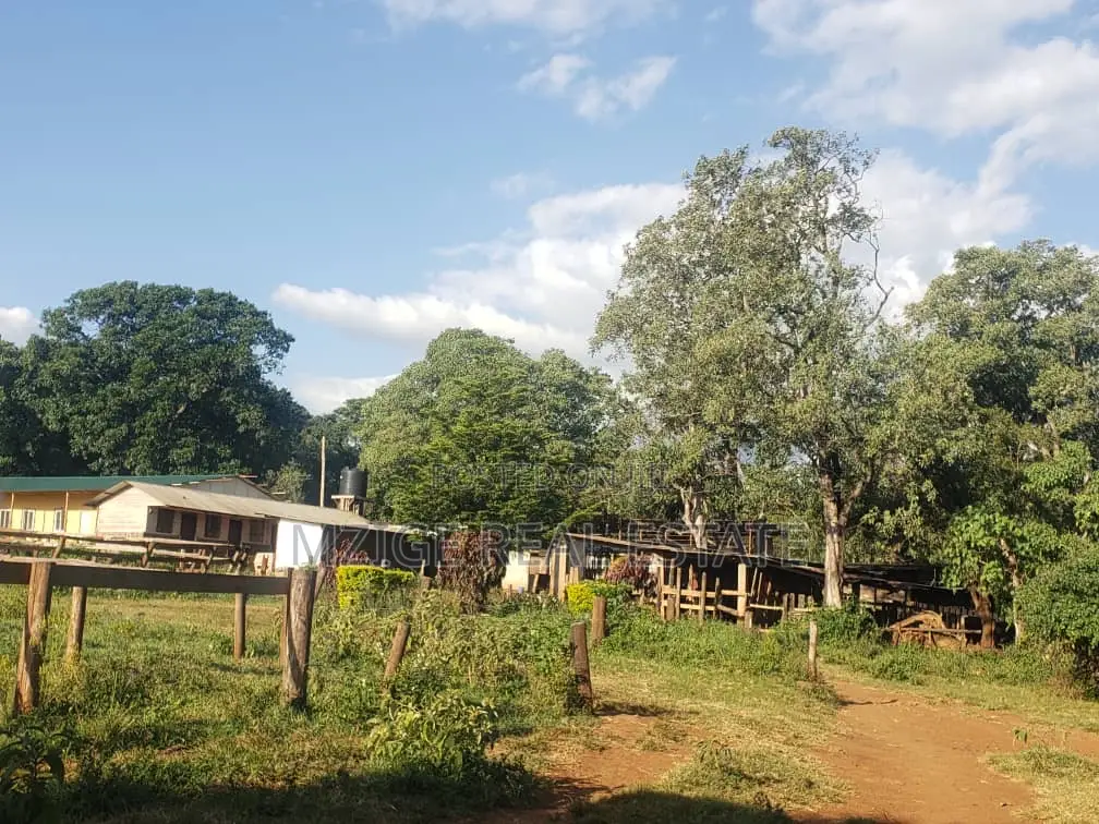 756 Acres Farm Within the Wildlife Corridor 4 Sale in West Kilimanjaro