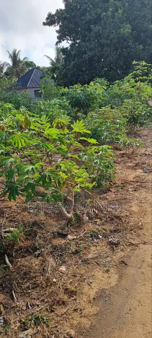 Kiwanja Kinauzwa Kiwangwa Bago