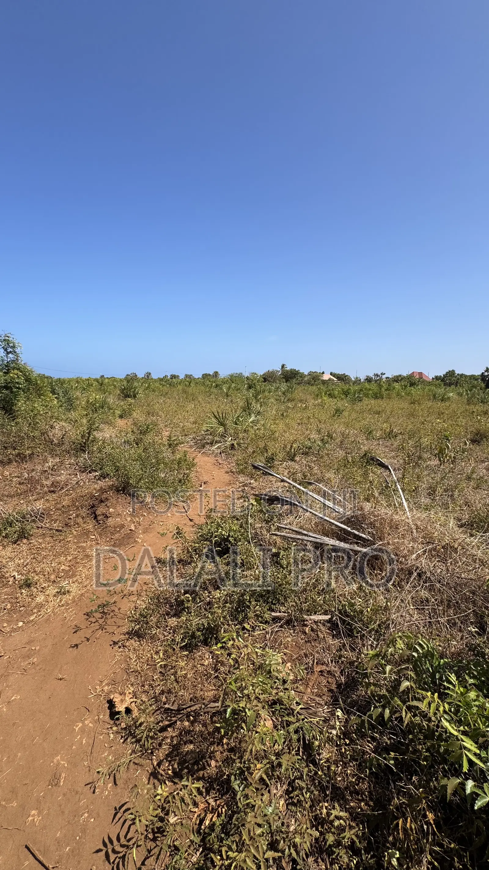 Plot for Sale in Kigamboni
