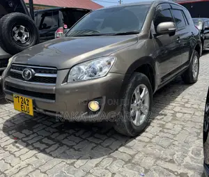 Toyota RAV4 2009 Beige