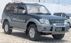 Toyota Land Cruiser Prado 1999 Gray