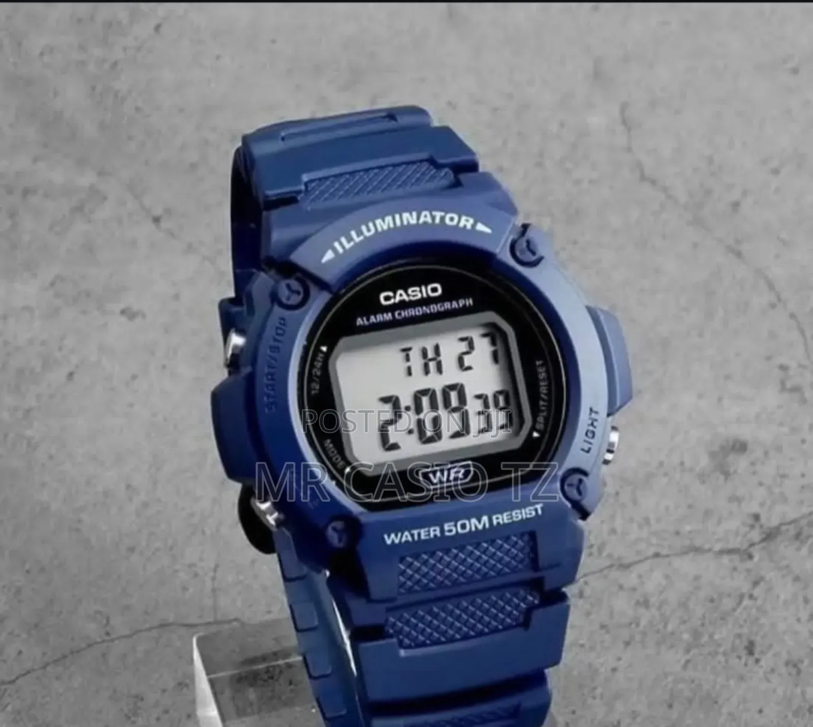 Casio W-219h-2avdf