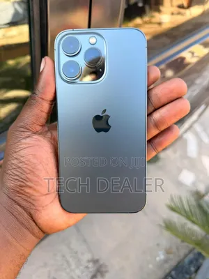 Apple iPhone 13 Pro 256 GB Gray