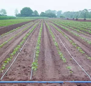 Drip Tape Irrigation System