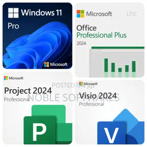 Microsoft Windows 11 Pro + Microsoft Office 2024 Professional Plus