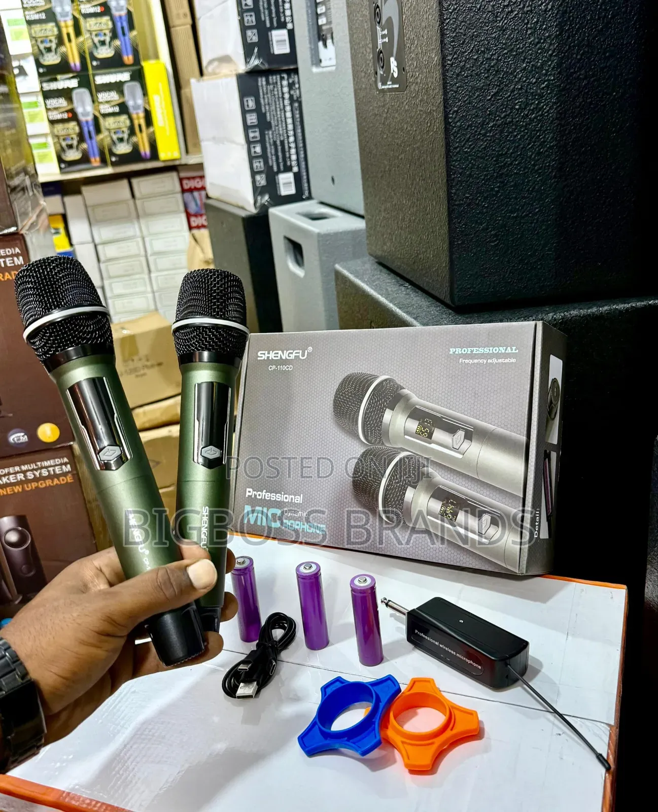 Shengfu Professional Rechargable Mic