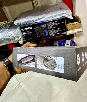 Shengfu Professional Rechargable Mic