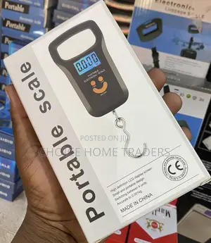 Portable Scale 0.001kg
