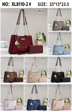 2 Mkoba Wa Kike Wa Kisasa–Modern Style Handbag