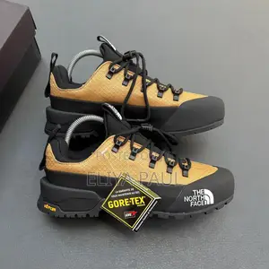 Northface Hedgehog Gore Tex