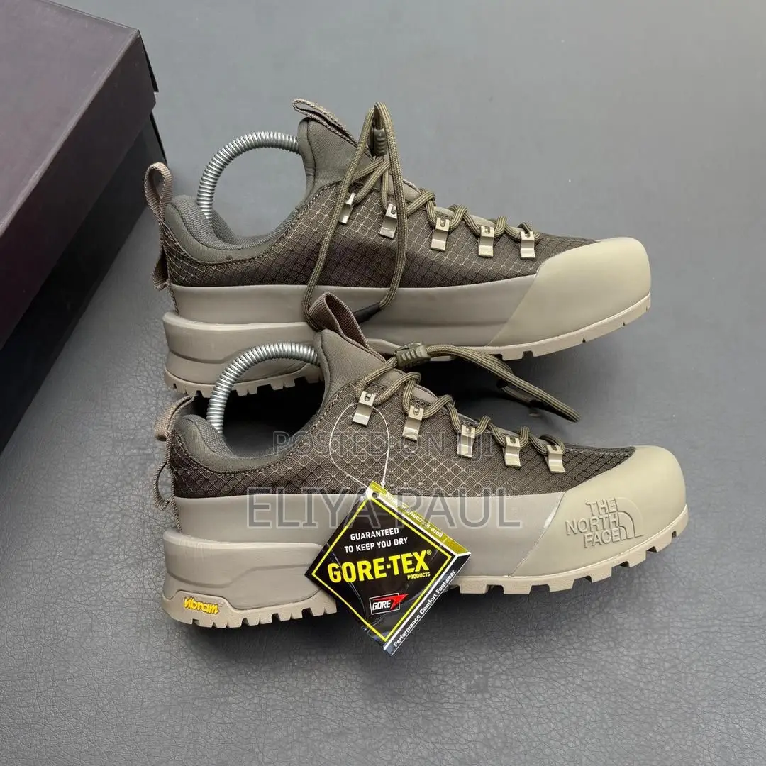 Northface Hedgehog Gore Tex