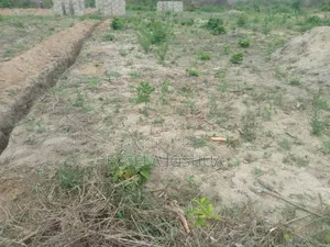 Kiwanja Kinauzwa Mlandizi Kwa Mama Samia (Industrial Area)