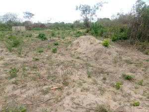 Kiwanja Kinauzwa Mlandizi Kwa Mama Samia (Industrial Area)