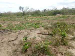Kiwanja Kinauzwa Mlandizi Kwa Mama Samia (Industrial Area)