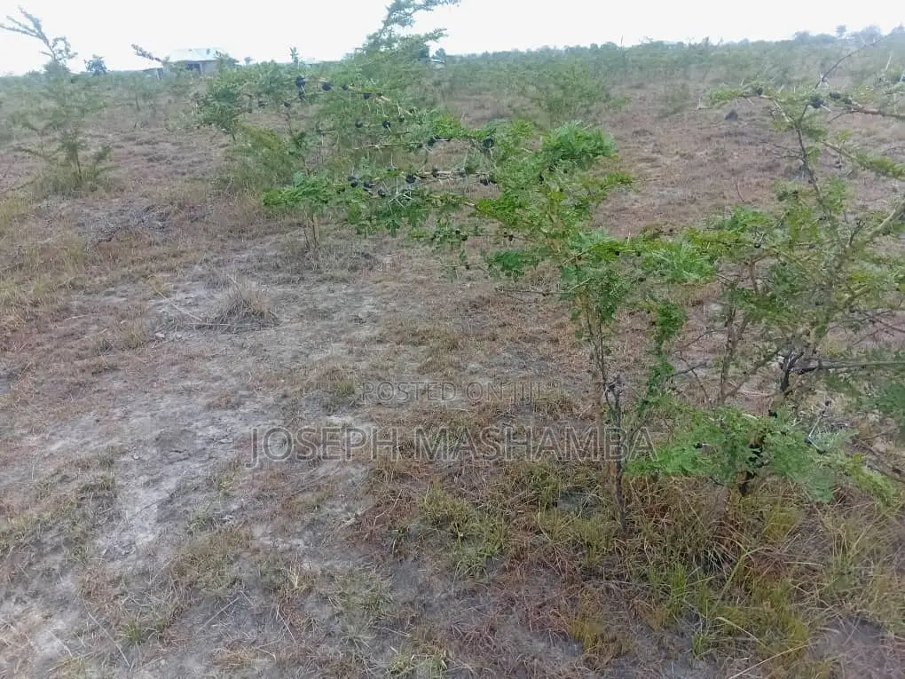 Plot for Sale