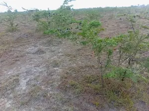 Plot for Sale