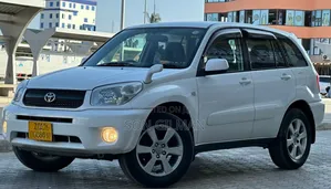 Toyota RAV4 2004 Pearl
