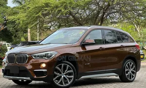 BMW X1 2015 Brown