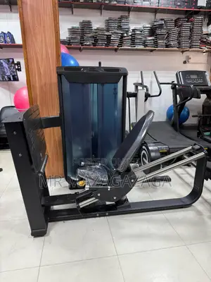 Machine Seated Leg Press