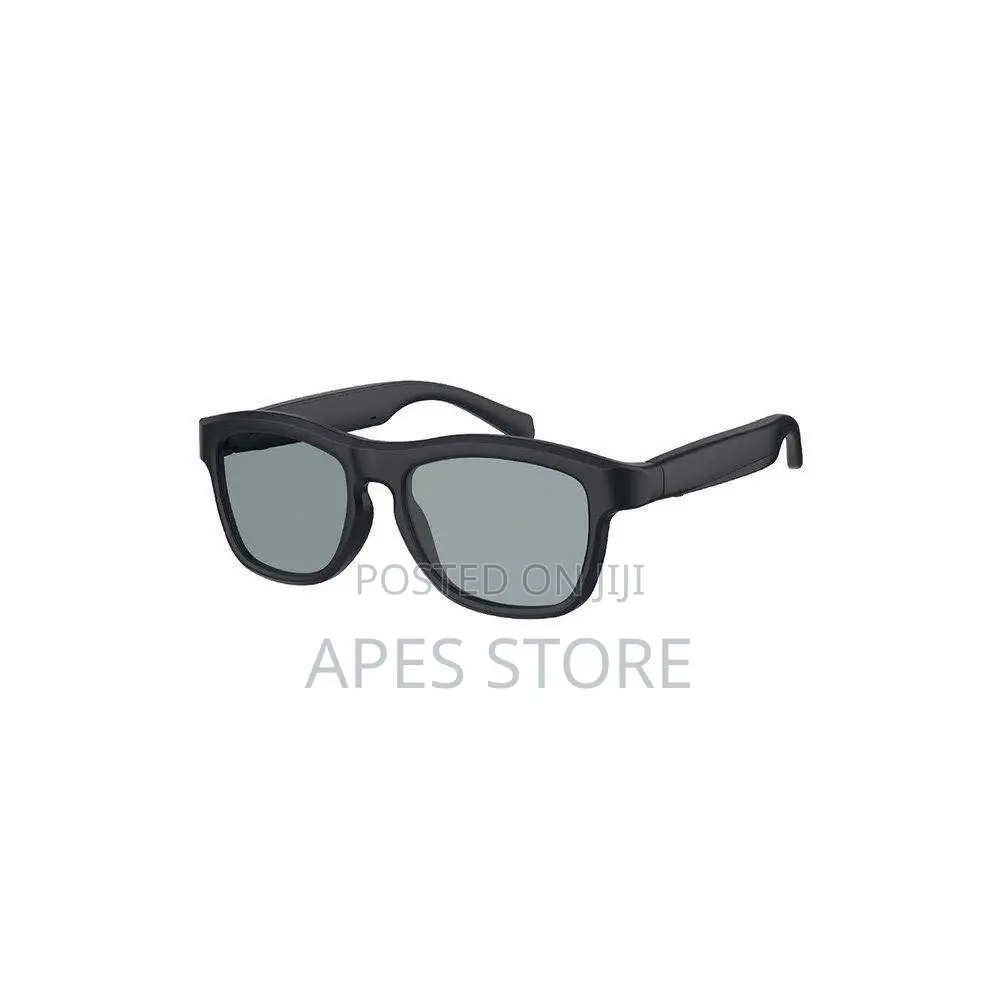Greenlion Shademate Smart Glasses