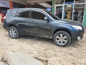 Toyota Vanguard 2008 Gray