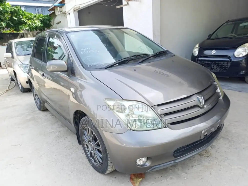 Toyota IST 2004 Gray