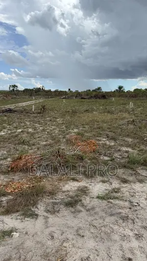 Kiwanja Kinauzwa Kigamboni