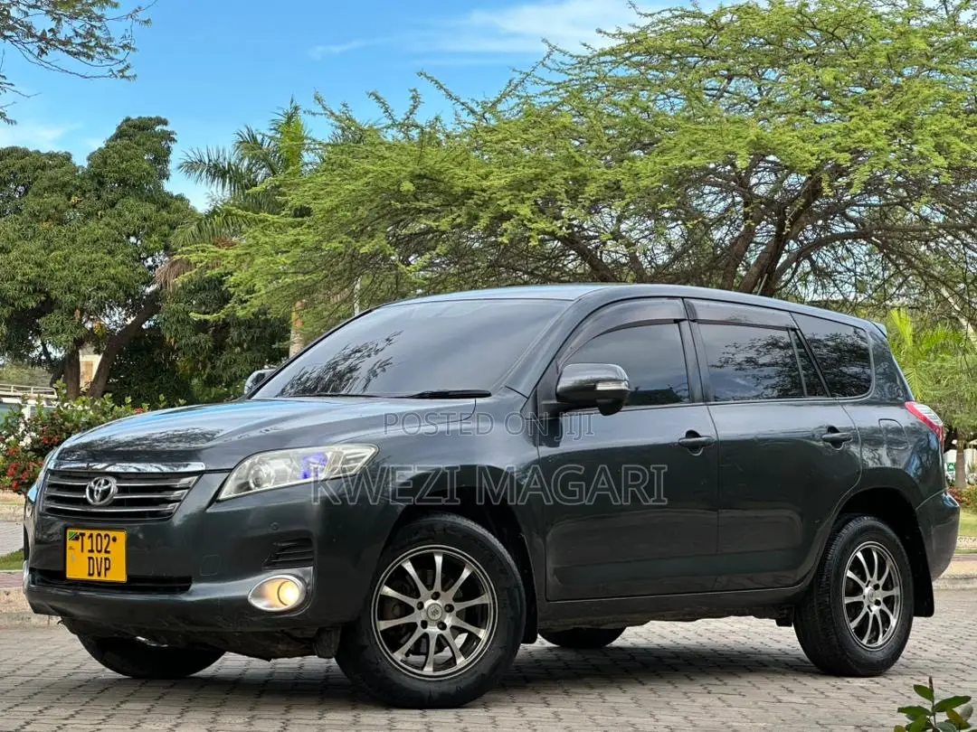 Toyota Vanguard 2008 Gray