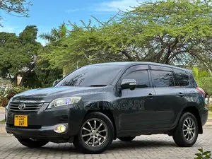 Toyota Vanguard 2008 Gray
