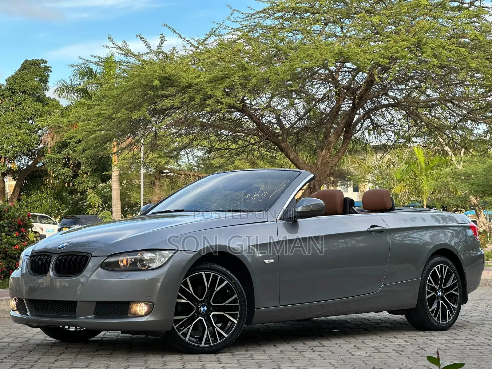 BMW 3 Series 2010 Gray