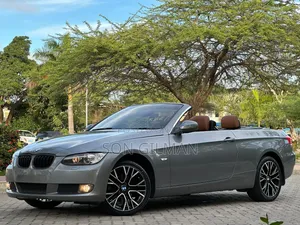 BMW 3 Series 2010 Gray