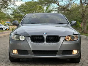 BMW 3 Series 2010 Gray
