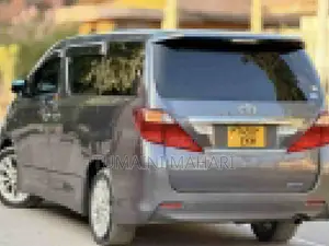 Toyota Alphard 2009 Gray