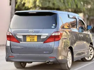 Toyota Alphard 2009 Gray