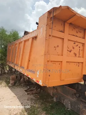 Tipper Shackman 2012 Yellow