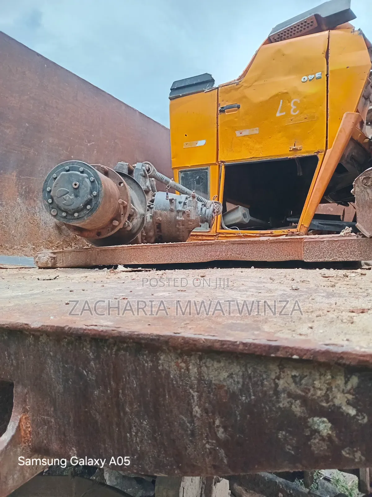 Tipper Shackman 2012 Yellow
