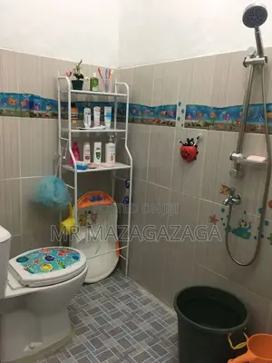 Toilet Racks