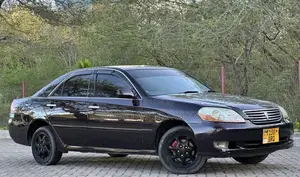 Toyota Mark II 2004 Purple