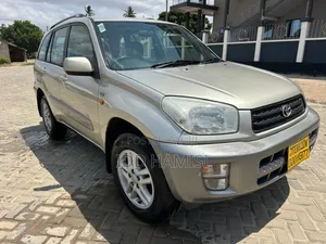 Toyota RAV4 2001 Silver