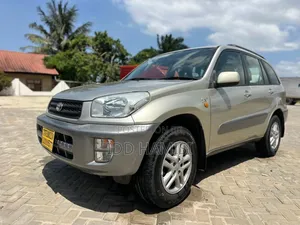 Toyota RAV4 2001 Silver