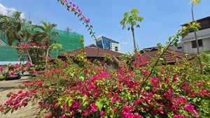 Prime Plot for Sale in Upanga