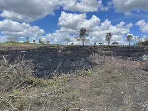 Shamba Linauzwa Kiwangwa Hekari 12