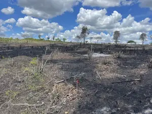 Shamba Linauzwa Kiwangwa Hekari 12
