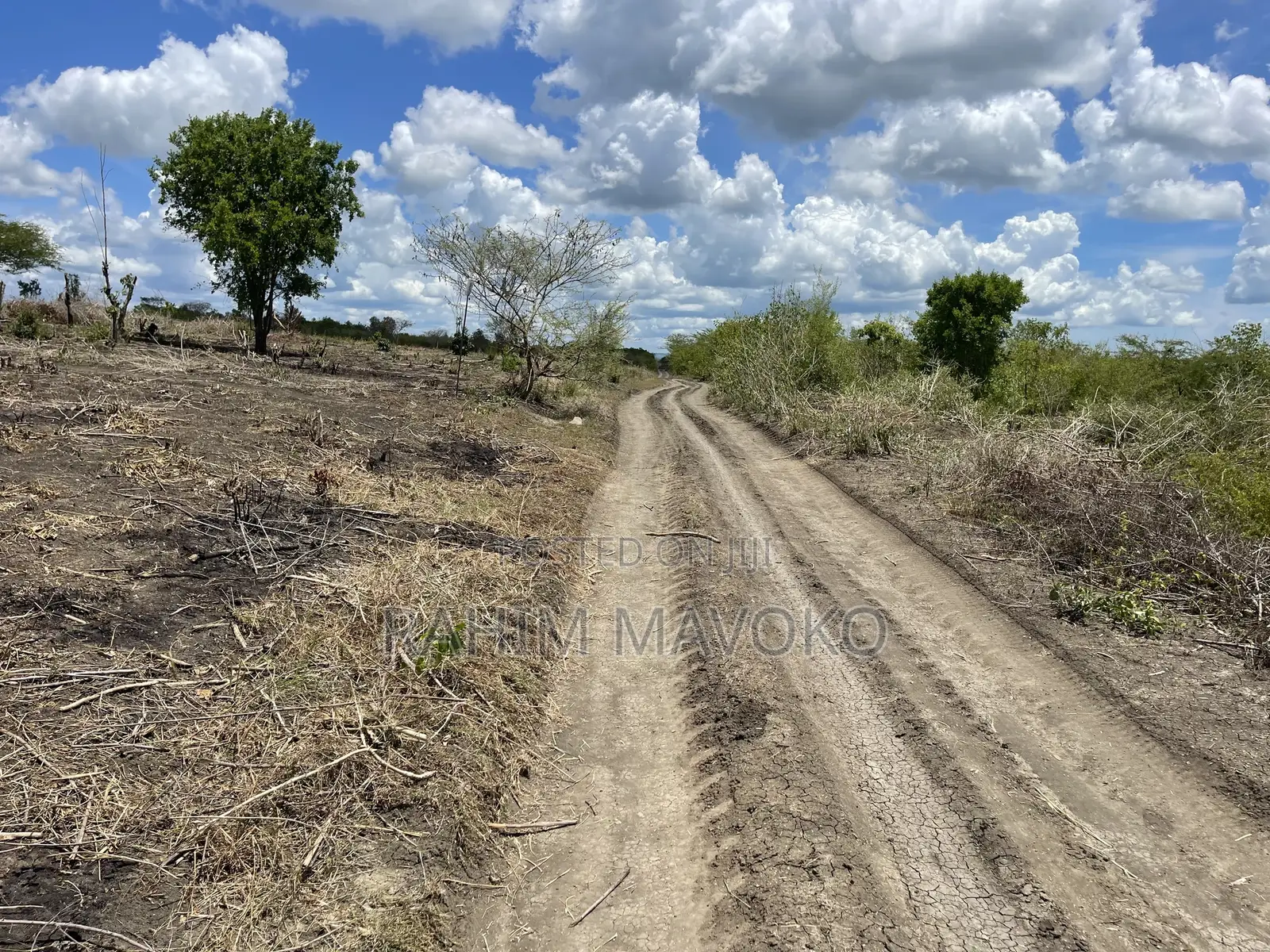 Shamba Linauzwa Kiwangwa Hekari 12