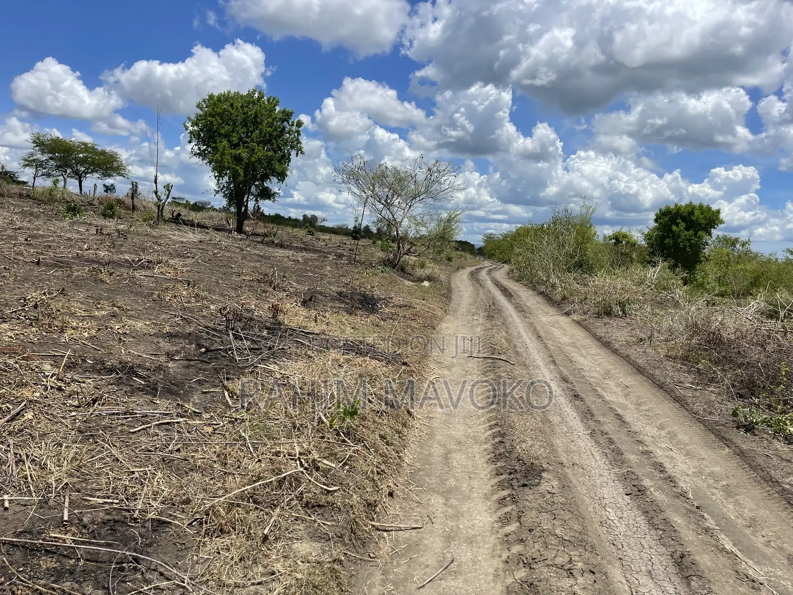 Shamba Linauzwa Kiwangwa Hekari 12