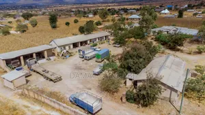 Mgodi Unauzwa Songwe Mbeya